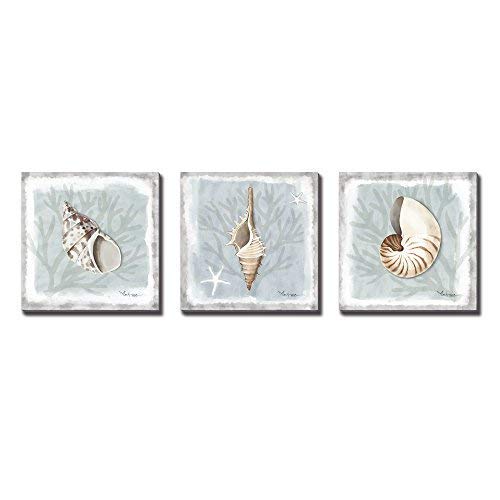 3Hdeko - Seashell Wall Decor for Bathroom Modern Coastal Wall Art Ocean Beach Theme Picture 3 Piece Conch Shell Painting Prints on Canvas, Ready to Hang (12x12inchx3pcs)