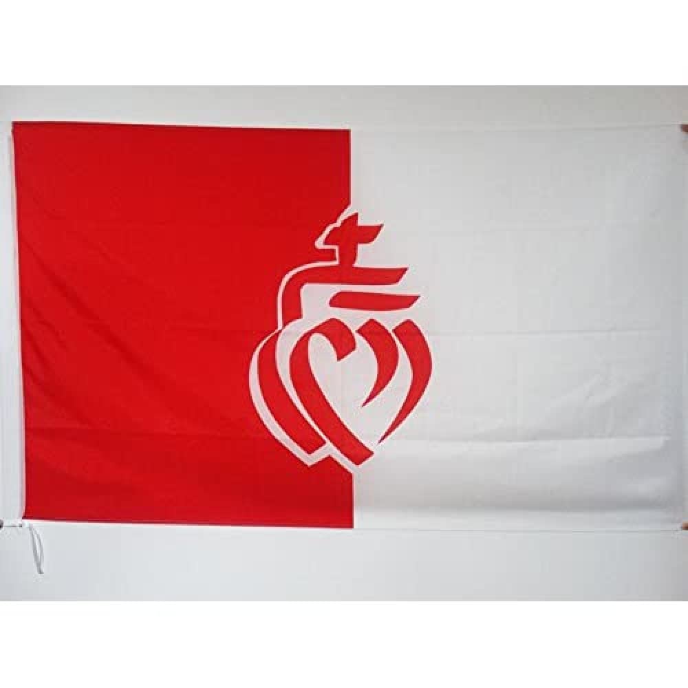 AZ FLAG - French Department of The Vendée Flag - 3x5 Ft - Vendée Banner with Sleeve - 100% Polyester - Fade Resistant - Vivid Colors - 3' x 5' Feet - 150x90 Cm