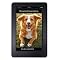 Livro Manual perfeito para donos de cães imperfeitos: O "Manual Perfeito para Proprietários Imperfeitos de Cães” enfatiza o proprietário do animal de estimação para oferecer bons cuidados
