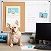 Blue Summit Supplies 24 Inch x 36 Inch Combination Magnetic Whiteboard and Corkboard with Aluminum Frame, Melamine Dry Erase and Bulletin Board Combo, Detachable Marker Tray