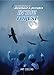 In the Forest (The Adventures of Archibald & Jockabeb Book 1)