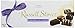 Russell Stover Assorted Caramels & Chews Chocolate, 11.5 Ounce Box (Pack of 3)