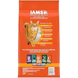 IAMS Proactive Health Adult Hairball Care Dry Cat