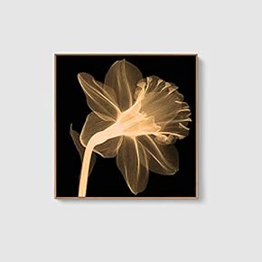Framed Canvas Home Artwork Decoration Beautiful Flower Canvas Wall Art for Living Room, Bedroom - 16x16 inches