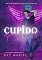 Livro Cupido Apaixonado!: LIVRO ÚNICO