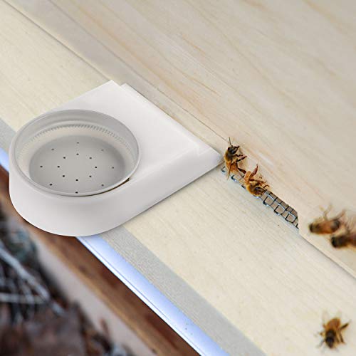 5 Entrance+Feeder+Beehives+Canning+Waterer