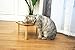 Miss Meow Raised Cat Bowls with Stand Feeder, Elevated Bamboo Stand with 3 Stainless Still Bowls and Removable Feet. (Stainless Still Bowls)