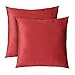 shengyu Luxurious Velvet Throw Pillow Cases, Set of 2 Decorative Case Sets, Square Pillow Covers, Soft Pillowcases for Living Room, Bedroom, Couch, Sofa, Bed, 18x18 (red)