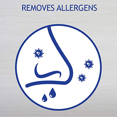 4 Lysol+Disinfecting+Wipes+Blossom+4x80ct