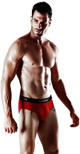 Gepios Men's Underwear Blood Circulation Antiaging Briefs Germanium BURGUNDY,M