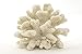 White Resin Sea Coral Piece | Aquarium Ornament for Decoration | Coral for Craft | (7