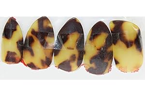 Pipa Nails, for Beginner and Practice (Size M)