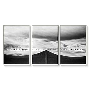 Floating Framed Canvas Wall Art for Living Room, Bedroom Black and White Landscape Canvas Prints for Home Decoration Ready to Hang - 16"x24"x3 Panels