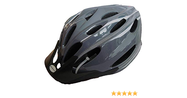 Schwinn Adjustable FIT Traveler Bike 