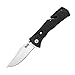 SOG Specialty Knives & Tools TF22-CP Trident Mini Knife with Straight Edge Assisted Folding 3.15-Inch AUS-8 Steel Blade and GRN Handle, Satin Finish
