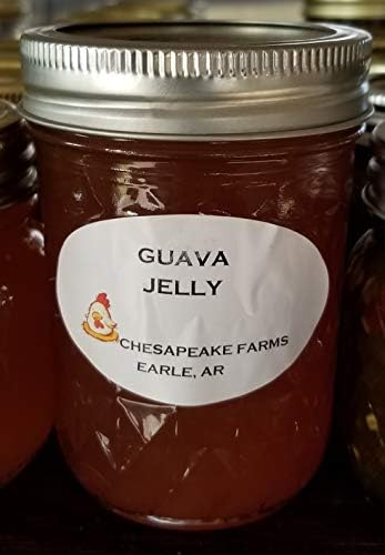 Guava Jelly 4 Oz Size Arkansas Grown And Made Organic Great Gift Idea!