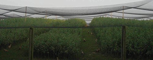 image for Poultry Netting 25ft x 50ft Heavy Knotted 2
