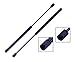 Tuff Support 2 Pieces (Set) Back Glass Window Lift Supports 2002 To 2006 Chevrolet Trailblazer, Gmc Envoy And 2003 To 2006 Isuzu Ascender