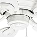 Hunter Fan Company Fan Hunter Fan Company Casablanca Durant Indoor Low Profile Ceiling Fan with Pull Chain Control, White, 54-inch (54103)