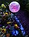 Moonrays 91251 LED Solar Path Lights In Glass Ball Design With Color Changing Feature, Weatherproof, 100,000 Hours of Use, Energy Saving, Solar Powered, Durable Crystal Glass, 3-pc Pack