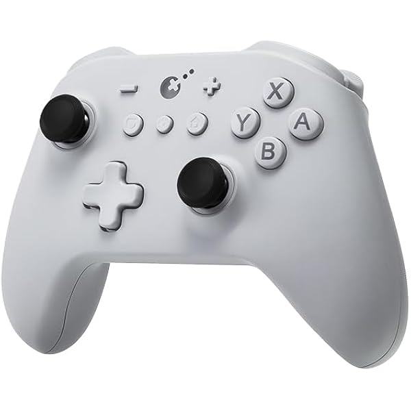 Amazon.com: GuliKit KK3 Controller Kingkong 3 Switch