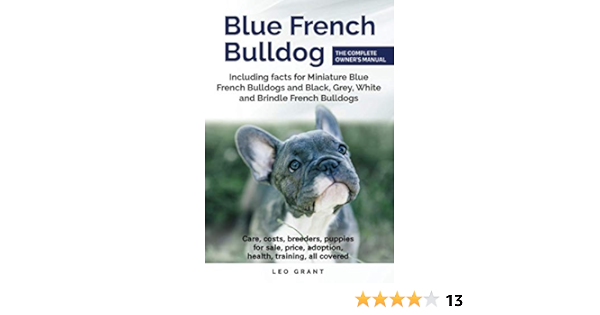 amazon dog sale price