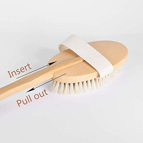 2pcs Shower Brush Bath & Dry Skin Body Brushing, Back Scrubber with Anti-slip Long Detachable Wooden Handle, 100% Natural Bristles, Perfect for Exfoliating, Detox and Cellulite, Blood Circulation - Thumbnail 7