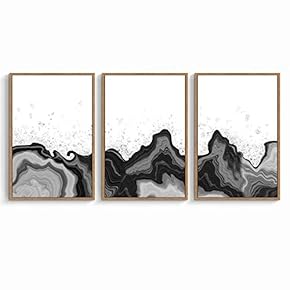 signwin 3 Piece Framed Canvas Wall Art Black...