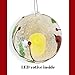BANBERRY DESIGNS Cardinal Christmas Ornament - Light Up Glass Ball Ornament Cardinal Design - White Snow and Glitter Inside