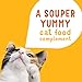 Purina Friskies Grain Free Wet Cat Food Complement Variety Pack, Lil' Soups With Sockeye Salmon & Tuna in Broth - (18) 1.2 oz. Cups