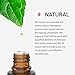 Rocky Mountain Oils Lavender Essential Oil - Diffuser Oil, Pure Essential Oils for Diffuser and Aromatherapy, Perfect for Hotel, Spa, Sleep Diffuser Oil