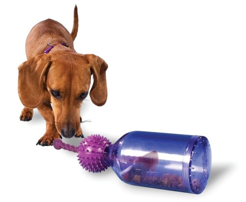 PetSafe Busy Buddy Tug-A-Jug Meal Dispensing Dog Toy, Small