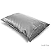 Fishers Finery 25mm 100% Pure Mulberry Silk Pillowcase (Silver King)