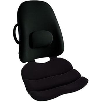 Amazon Com Posture Corrector Lower Back Support Sciatica