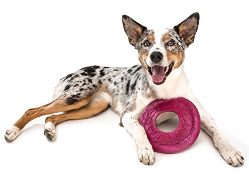 West Paw Zogoflex Air Dash Durable Dog Frisbee Nearly Indestructible Flying Disc Dog Toy, 100% Guaranteed Tough, It Floats!, Made in USA, Large, Dandelion