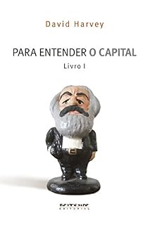 Livro Para entender O Capital - livro 1