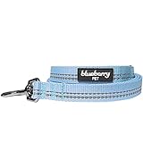Blueberry Pet 3M Reflective Pastel Color Dog Leash