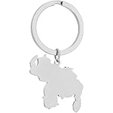 xbiez Stainless Steel Keychain Venezuela Map Keyrings Venezuela Map Bag Pendants Durable Backpack Ornaments for Keys Bags
