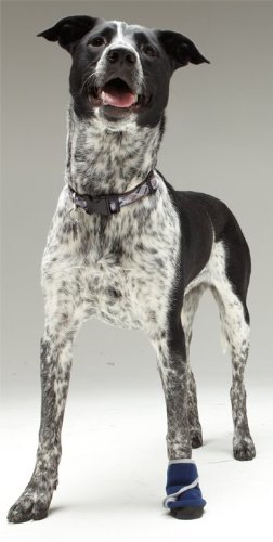 Healers Petcare Medical Dog Bootie, Single Unit - Blue