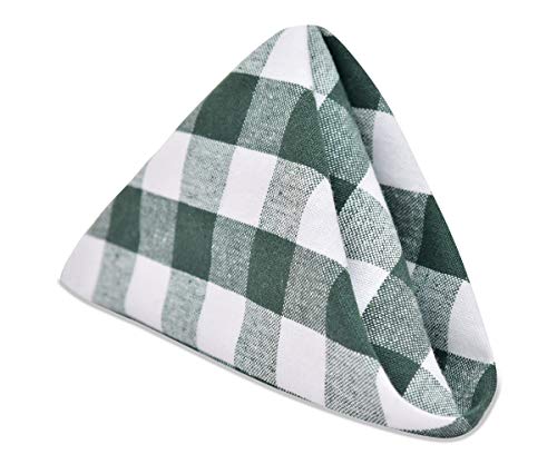 Buffalo Check Napkins - Green Napkins Cloth Cotton - Plaid Dinner Napkins Cloth - Checked Dinner Napkins - Plaid Napkin - Kitchen Napkins Cotton - Checked Napkin Set of 6 (18x18), Green and White