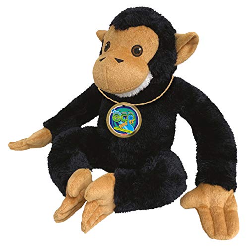 Chimp