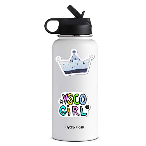 image for Acekar Winter VSCO Stickers for Water Bottles, | Big 50-Pack | Waterpr