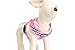 PUPTECK Soft Mesh Dog Harness and Leash Set Pet Puppy Cat Comfort Padded Vest No Pull Harnesses, Pink, M