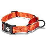 Wolfgang Man & Beast Premium USA Webbing Martingale