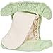 Gerber 2 Piece It's a Snap All-in-One Cloth Diaper, Pink/Green
