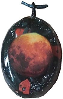 Blood Moon -Powerful Orgone Pendant - Grounding Hematite, Moonstone, Red Jasper, Quartz