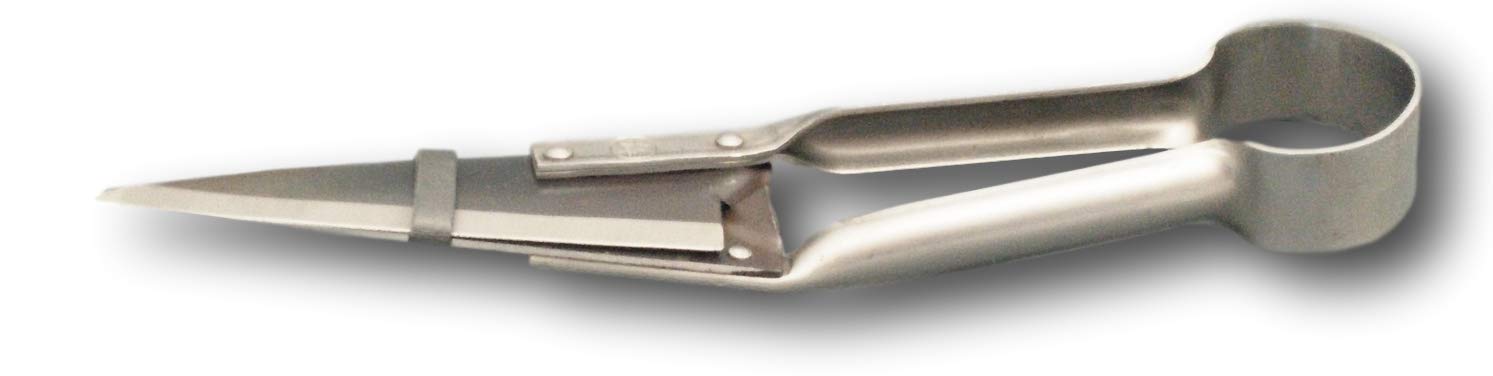 Due Buoi Single Bow Curved Sheep Shears DB 163/34-6" 1/3 Blade Length - 13" 1/2 Total Length