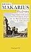 Ruines : Représentations dans l'art de la Renaissance à nos jours by 