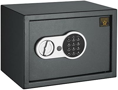 Paragon Lock & Safe Electronic .6 CF Digital Entry Deluxe Safe for Home Security