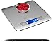 Zenith Digital Kitchen Scale by Ozeri, in Refined Stainless Steel with Fingerprint Resistant Coating